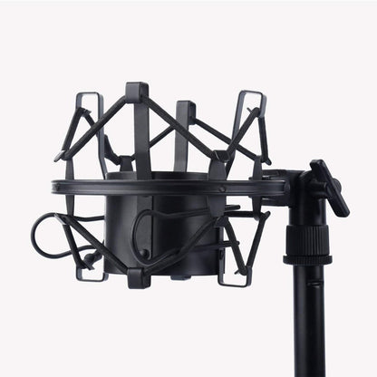 Condenser Microphone