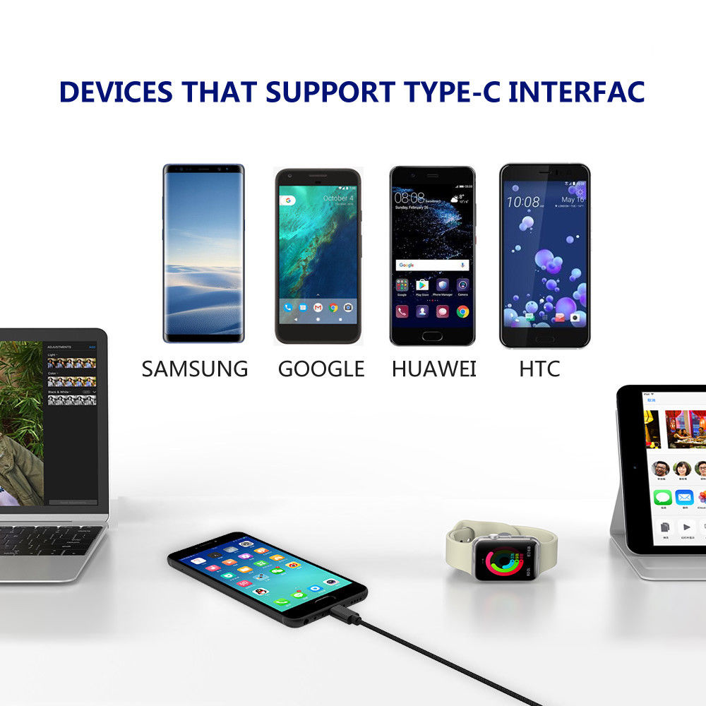 Braided Type C Charging Cable -0.2 M