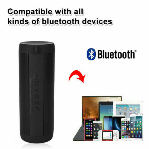 Portable Bluetooth Speaker
