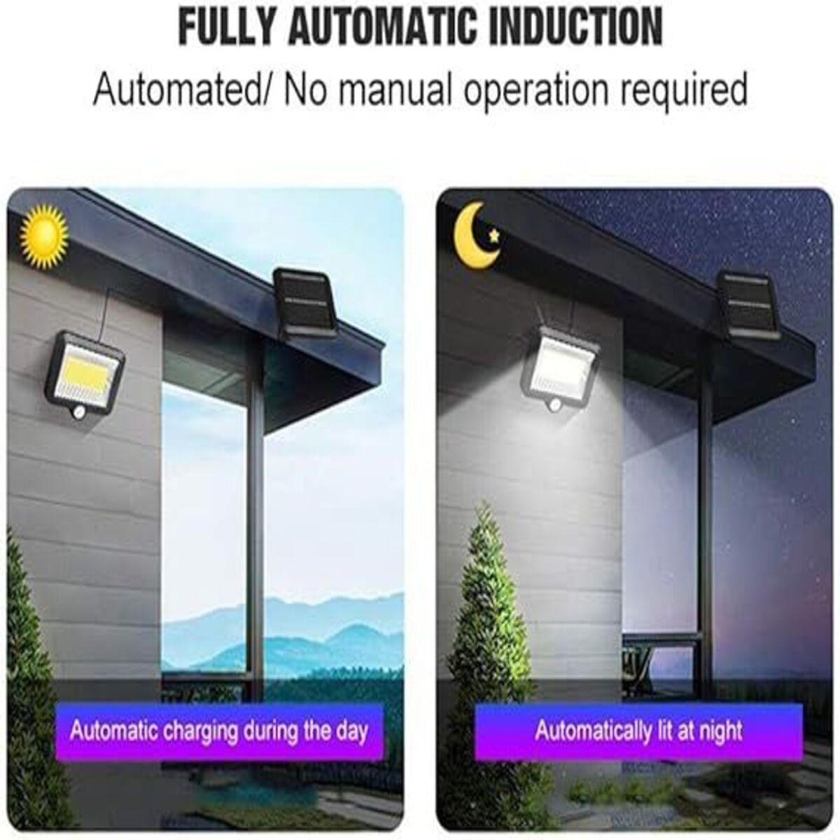 Solar Lamp