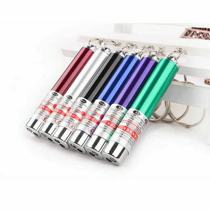 Pet Pointer LED Torch-Blue