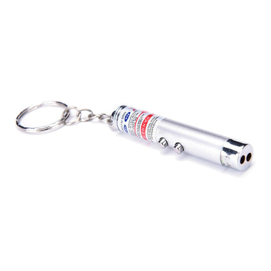 Pet Pointer LED Torch-Silver