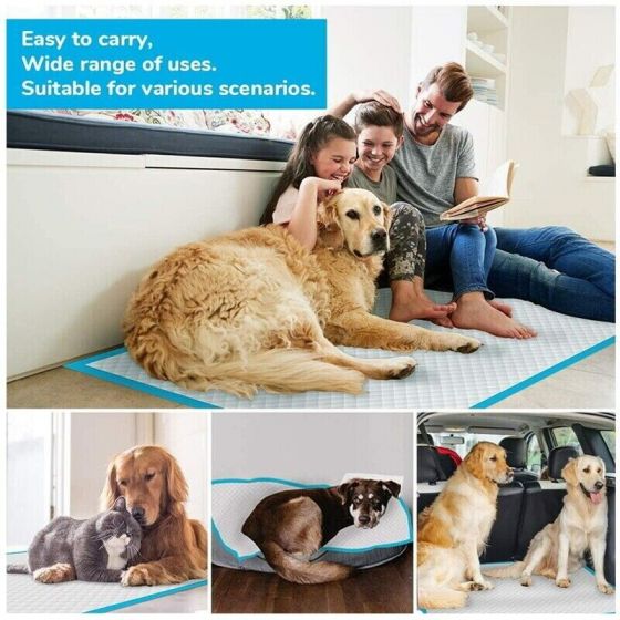 Dog Toilet paper-50 Pcs