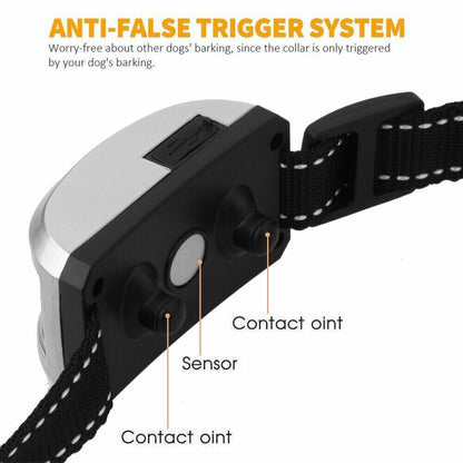 Pet Training Collar -Black