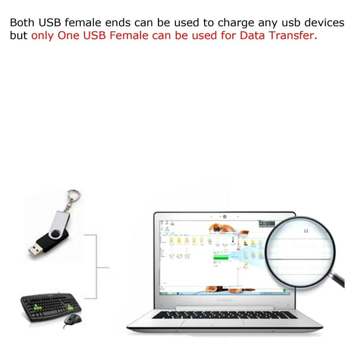 USB Extension A-Male To 2 A-Female