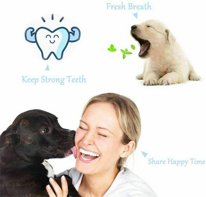 Pet Toothbrush