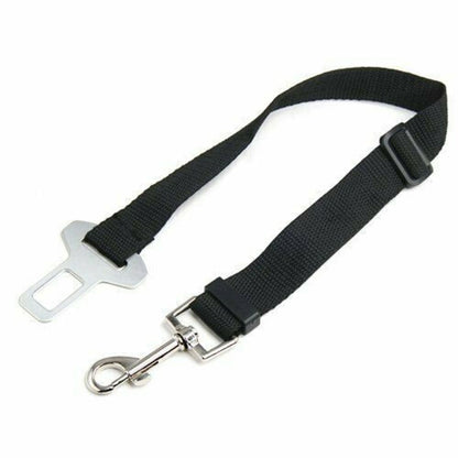 Dog car Seat Belt