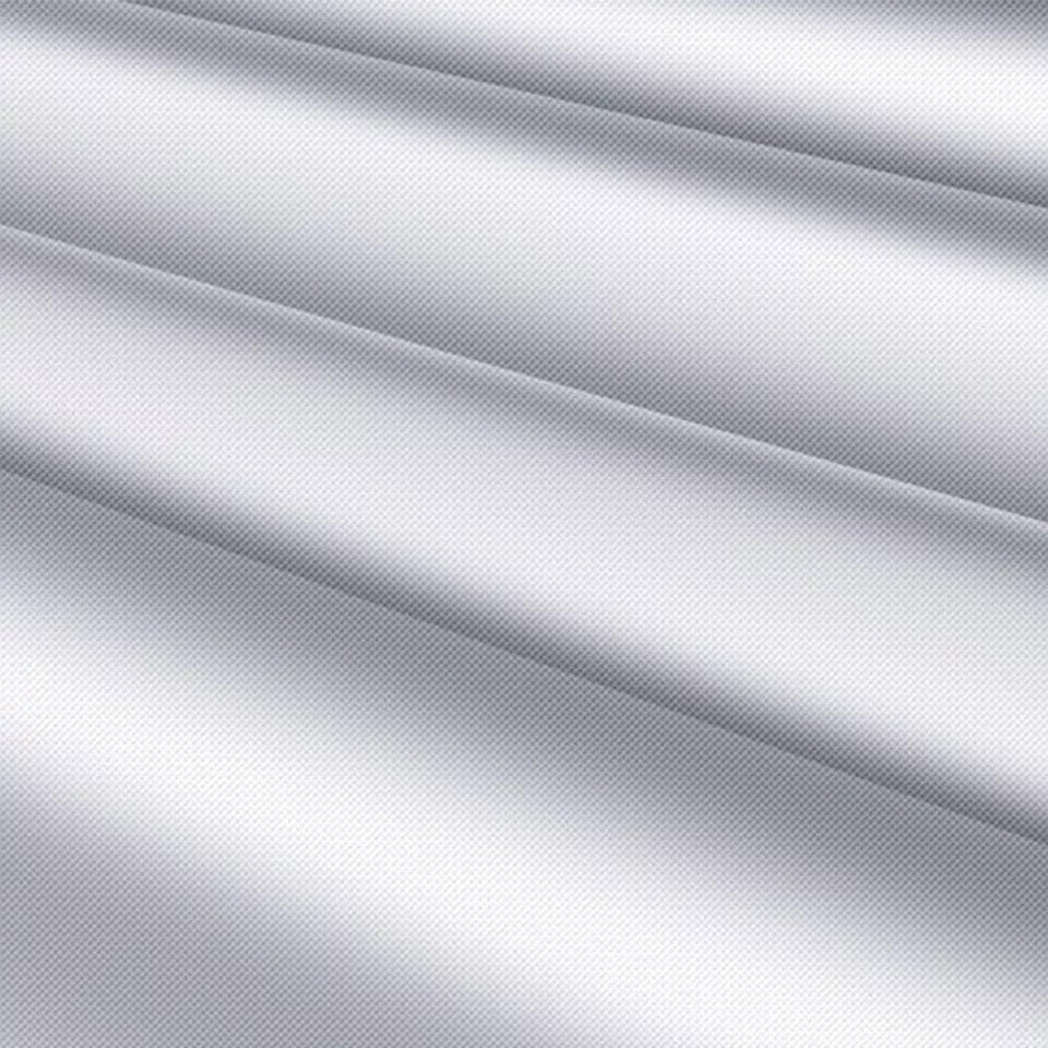 Car Windshield umbrella