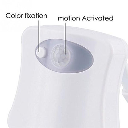 Toilet Night Light