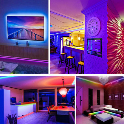 10M RGBW LED With APP Control & 10A Adapter