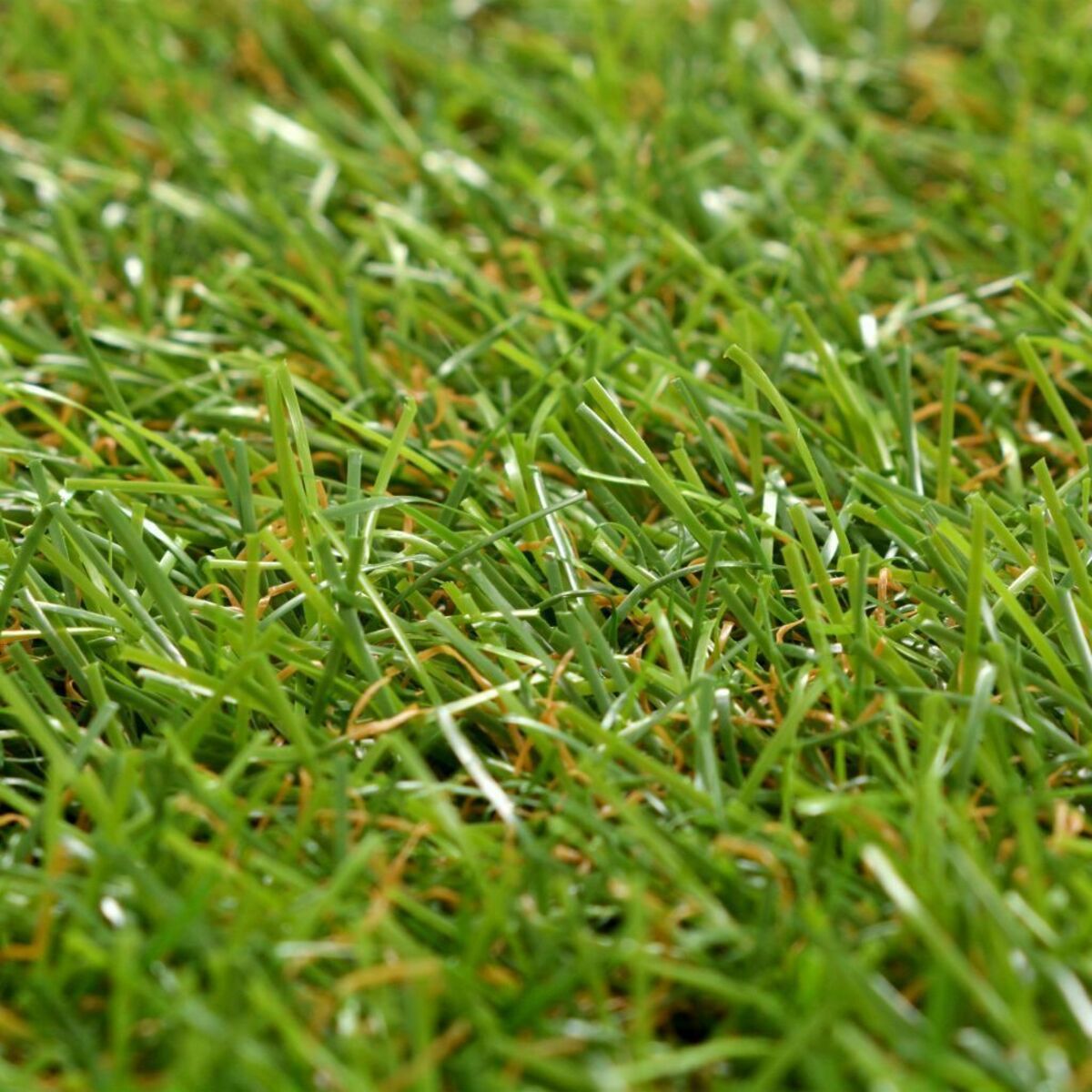 Artificial Turf Grass Tiles