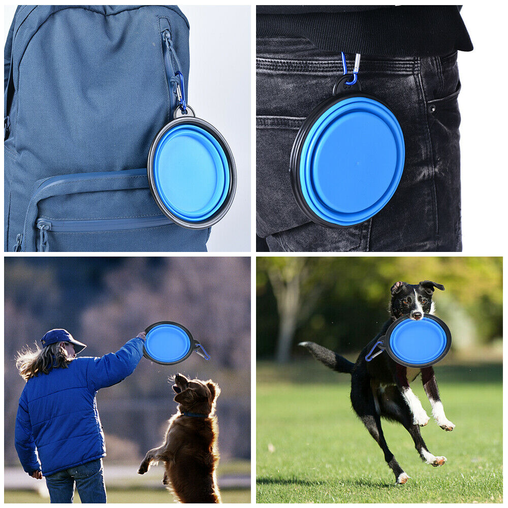 New Designed Food Grade Silicone Pet Bowl -Blue