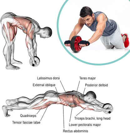 Ab Wheel Exercise Roller