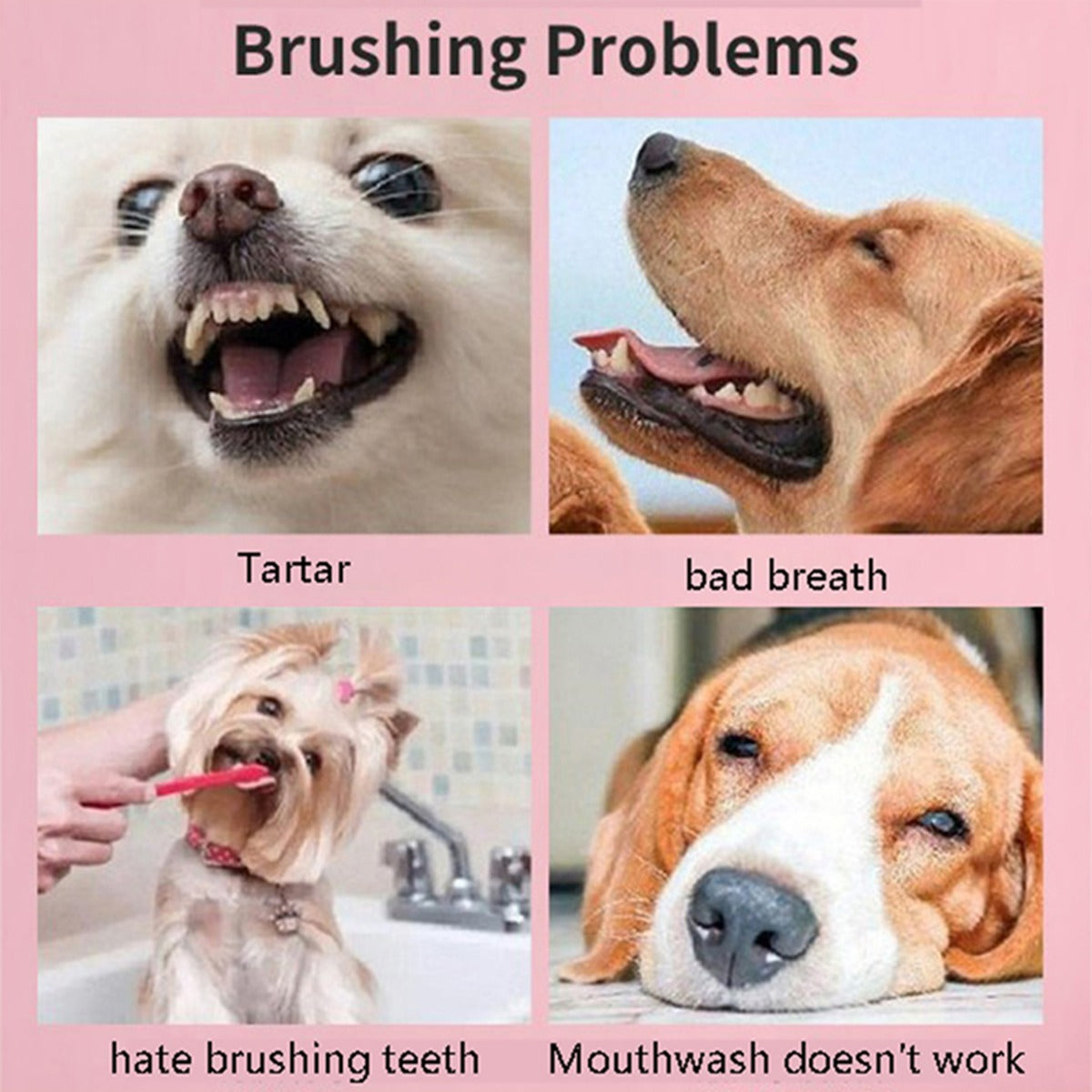 Pet Toothbrush