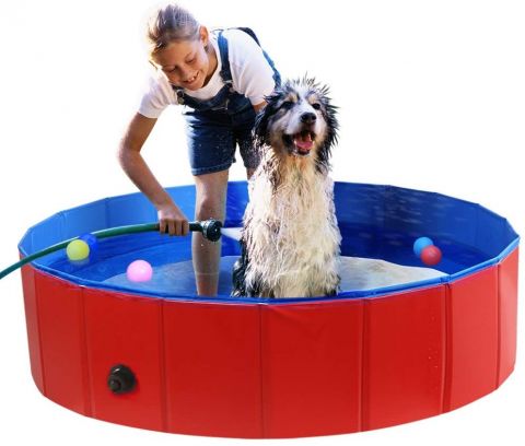 Pet Dog Swimming Pool  