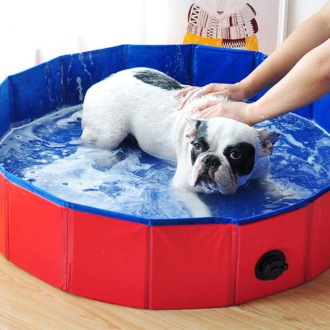 Pet Dog Swimming Pool 