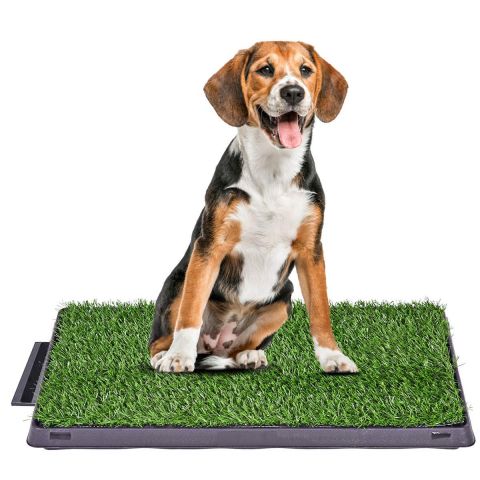 Dog Potty Tray  with Grass mat