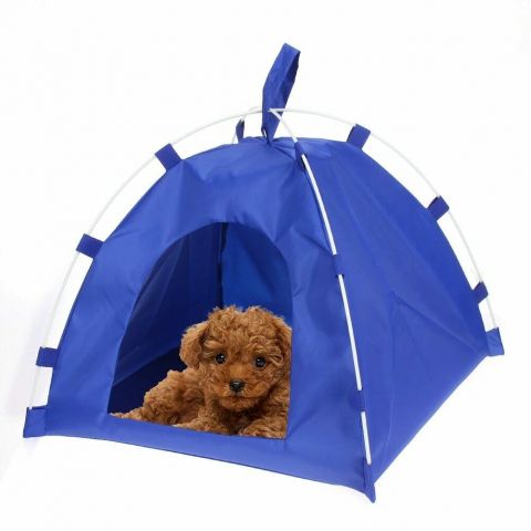 Pet Tent -Blue