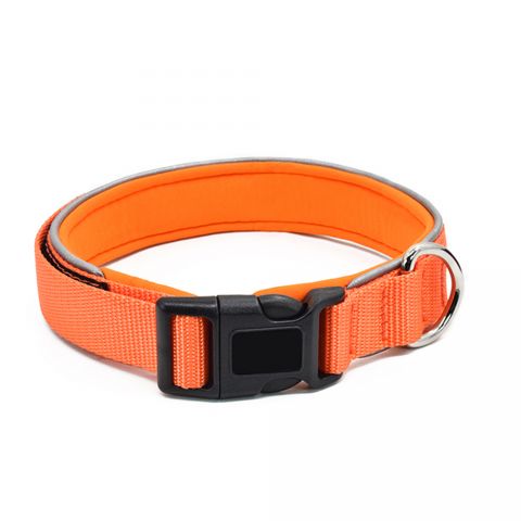 Pet Collar -Orange-Medium