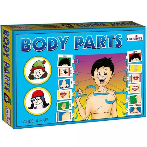 Educational Body Parts