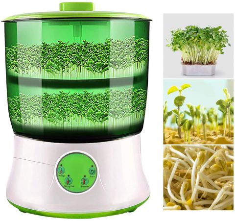 Bean Sprouter Machine