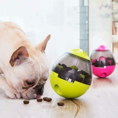 Smart Dog Cat IQ Food Ball Toy