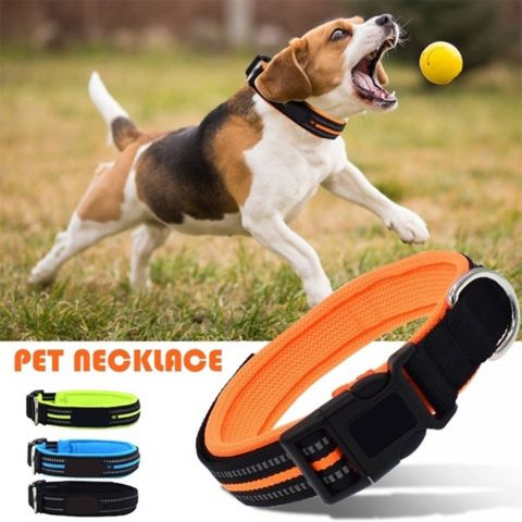 KC-006 PET NECKLACE