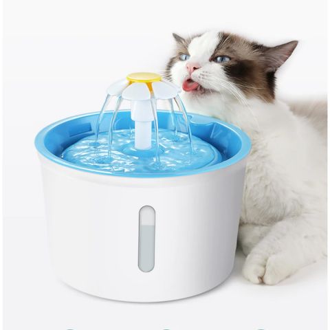 Pet Water Fountain