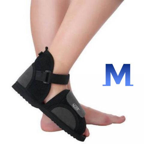 Shoe Foot Support
