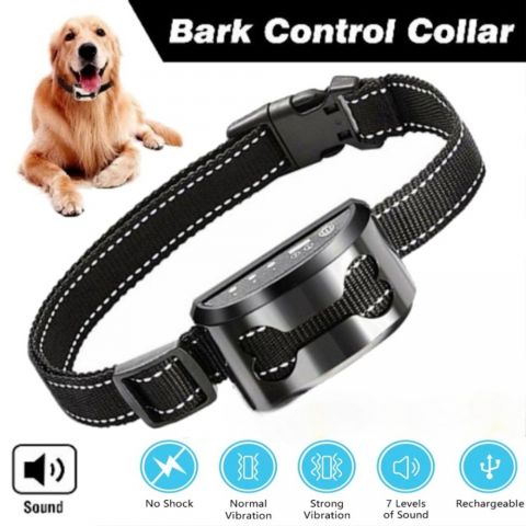 Pet Training Collar -Black